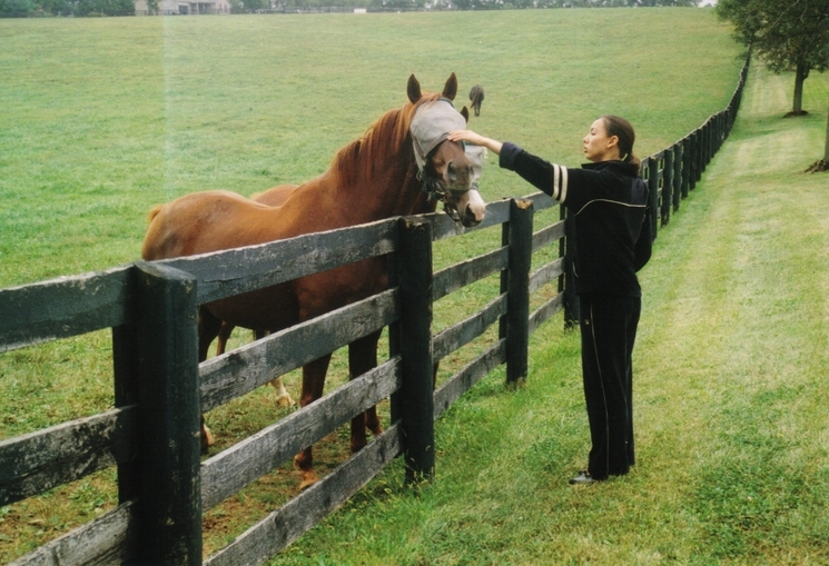 Playing with horses in Kentucky, USA